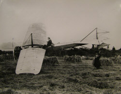 Crashed in a cornfield!